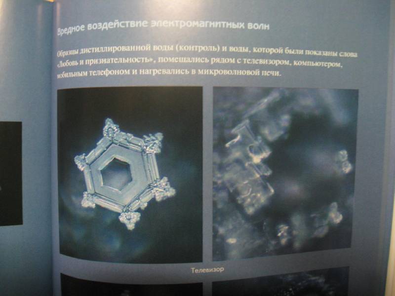 Иллюстрация 12 из 21 для Послания воды: Тайные коды кристаллов льда - Масару Эмото | Лабиринт - книги. Источник: bhf