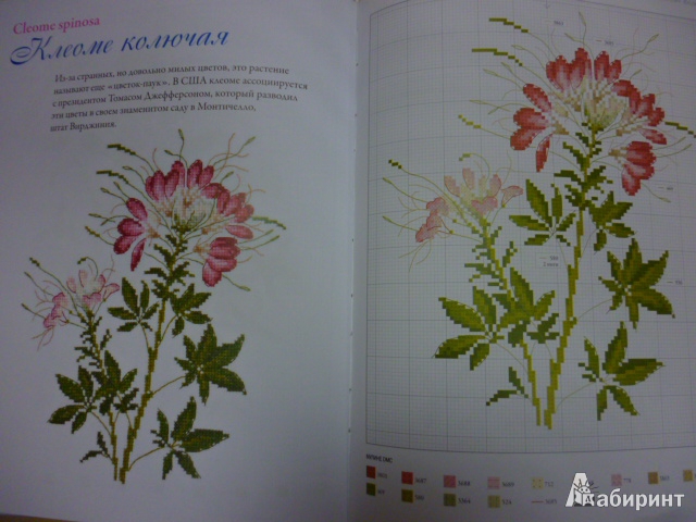 Иллюстрация 3 из 26 для Садовые цветы, вышитые крестом - Вероник Ажинер | Лабиринт - книги. Источник: obana