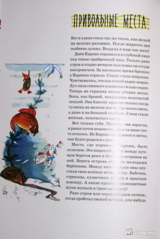 Иллюстрация 64 из 65 для Приключения Карпика - Андрей Клыков | Лабиринт - книги. Источник: СветланаС