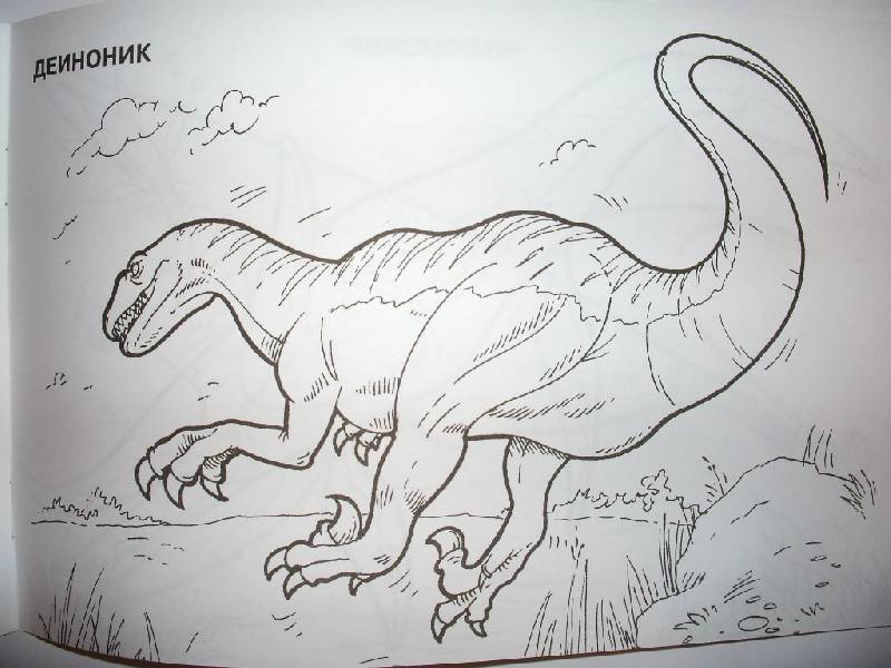 Иллюстрация 4 из 5 для Мир животных: Динозавры-2 (раскраска) | Лабиринт - книги. Источник: Tiger.