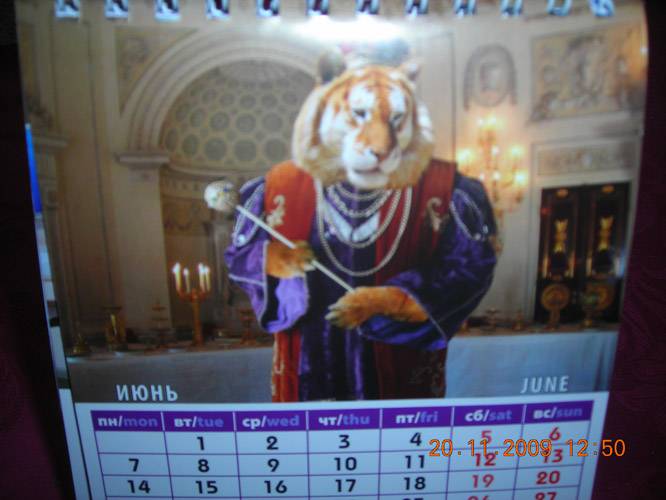 Иллюстрация 6 из 6 для Календарь 2010 "Год успешного тигра" (10902) | Лабиринт - сувениры. Источник: Плахова  Татьяна