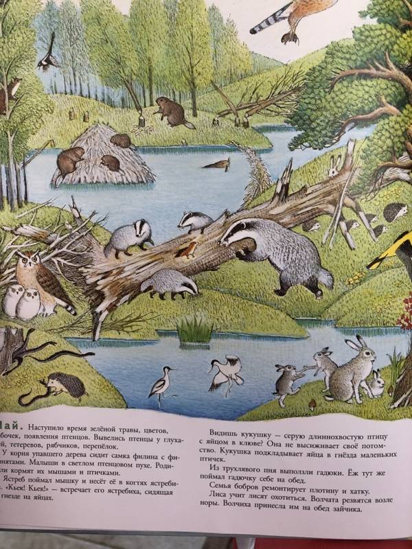Иллюстрация 92 из 109 для В лесу - Петр Багин | Лабиринт - книги. Источник: Рыжова  Алла