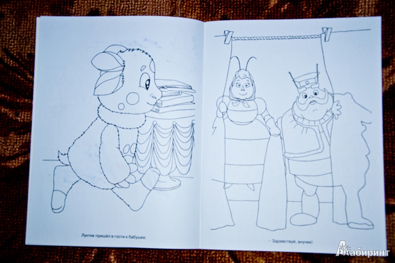 Иллюстрация 2 из 6 для Волшебная раскраска "Лунтик и его друзья" (№ 12112) | Лабиринт - книги. Источник: Лабиринт