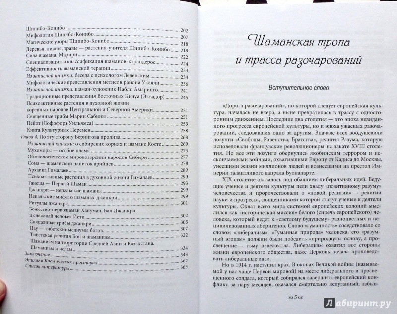 Иллюстрация 30 из 39 для Священный Космос Шаманов. Архаическое сознание, мировоззрение шаманизма, традиционное врачевание - Павел Берсенев | Лабиринт - книги. Источник: fionna_cake