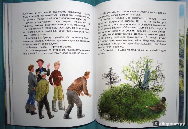 Иллюстрация 61 из 134 для Рассказы о природе для детей - Коваль, Скребицкий, Соколов-Микитов | Лабиринт - книги. Источник: nata_romina