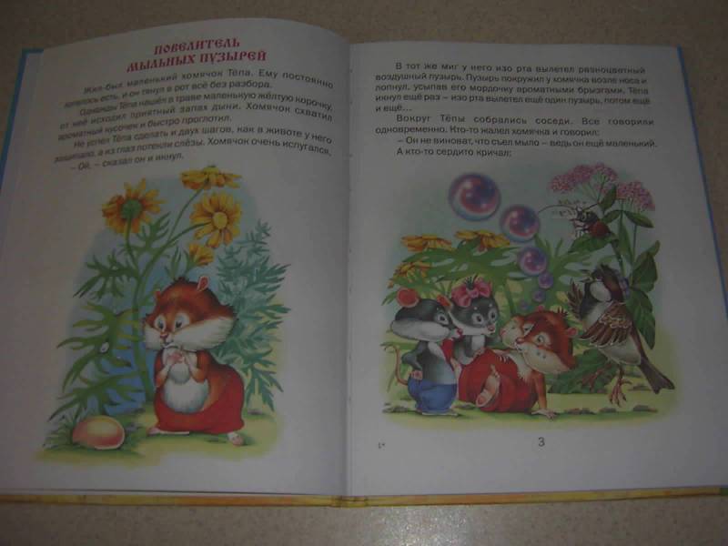 Иллюстрация 2 из 20 для Повелитель мыльных пузырей - Комзалова, Комзалова | Лабиринт - книги. Источник: Лилианна