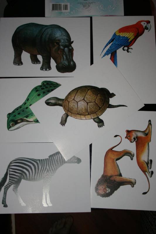 Иллюстрация 13 из 31 для Животные. Комплект тематических карточек по английскому языку | Лабиринт - книги. Источник: Счастливая мама