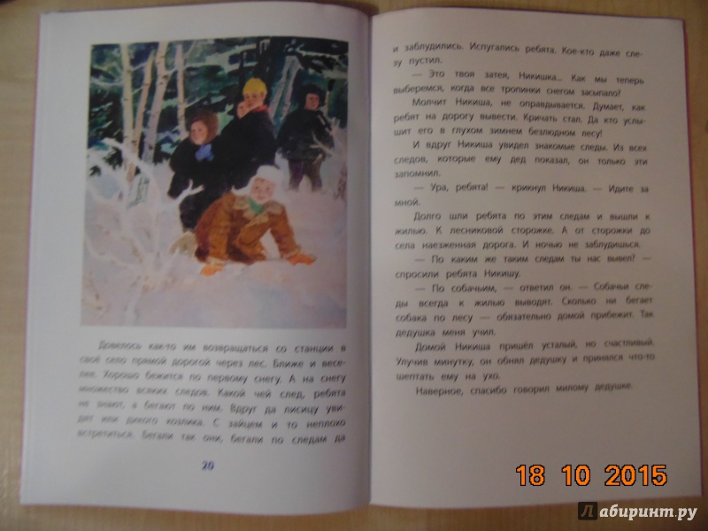 Иллюстрация 44 из 46 для Смородинка - Евгений Пермяк | Лабиринт - книги. Источник: lipatenok07