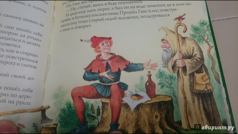 Иллюстрация 17 из 35 для Сказки - Гримм Якоб и Вильгельм | Лабиринт - книги. Источник: anka46