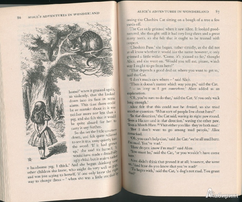 Иллюстрация 33 из 36 для Alices Adventures in Wonderland & Through the Looking-Glass - Lewis Carroll | Лабиринт - книги. Источник: Rishka Amiss