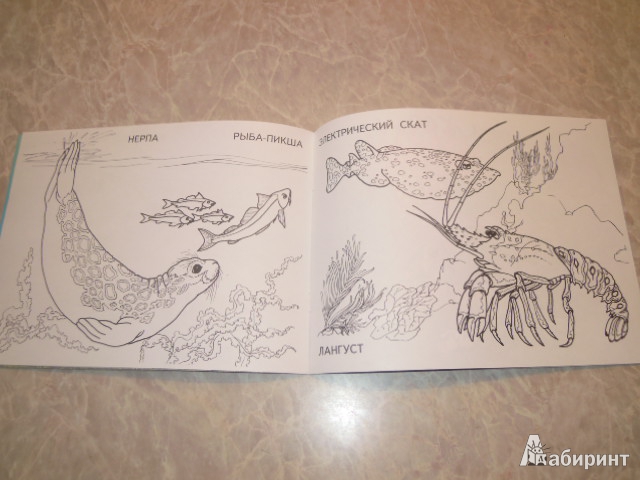 Иллюстрация 6 из 9 для Изучаем и раскрашиваем. Морские животные | Лабиринт - книги. Источник: Iwolga