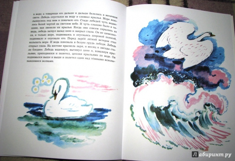 Иллюстрация 43 из 48 для О животных и птицах - Лев Толстой | Лабиринт - книги. Источник: Бог в помощь