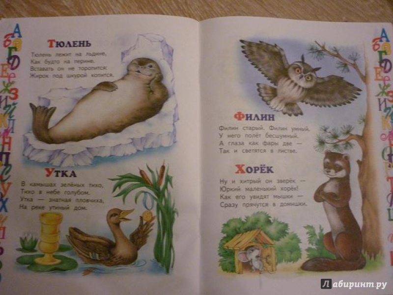 Иллюстрация 8 из 10 для Азбука животных - Владимир Степанов | Лабиринт - книги. Источник: Красавишна3