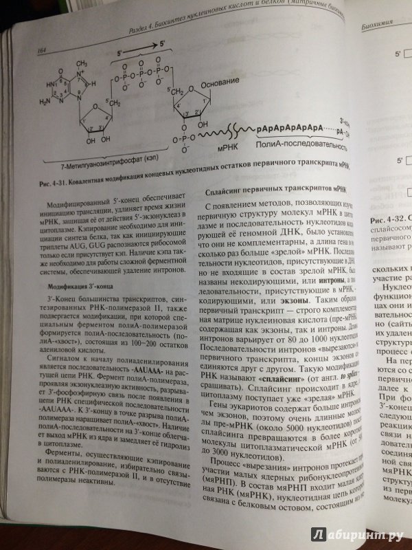 Биохимия учебник для вузов. Биохимия. Учебник. Учебник по биохимии для мед вузов.