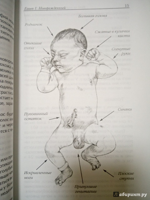Иллюстрация 5 из 14 для Уход за малышом в первый год жизни | Лабиринт - книги. Источник: Салус