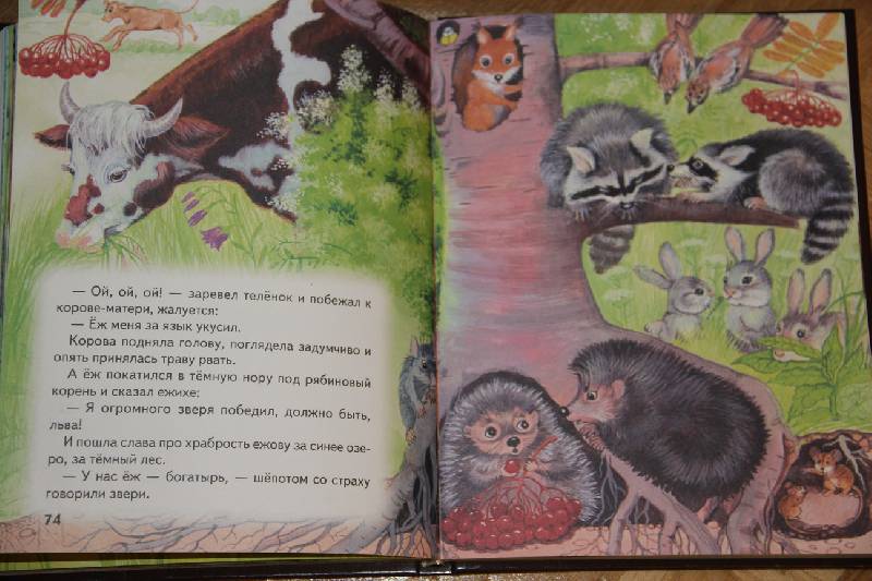 Иллюстрация 29 из 39 для Сказки из леса | Лабиринт - книги. Источник: Vilvarin  Laurea