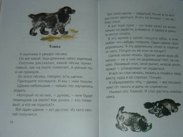 Иллюстрация 8 из 33 для Тюпа и Томка - Евгений Чарушин | Лабиринт - книги. Источник: Ромашка:-)