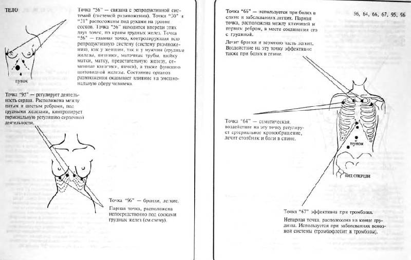 Иллюстрация 4 из 6 для Исцеление с помощью акупрессуры: акупунктура без иголок - Ф.М. Хаустон | Лабиринт - книги. Источник: alexss