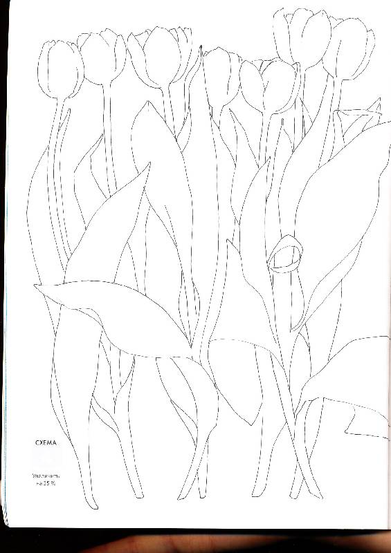 Иллюстрация 6 из 6 для Рисуем по схемам. Тюльпаны. Акварель №20 - Фиона Перт | Лабиринт - книги. Источник: sandy