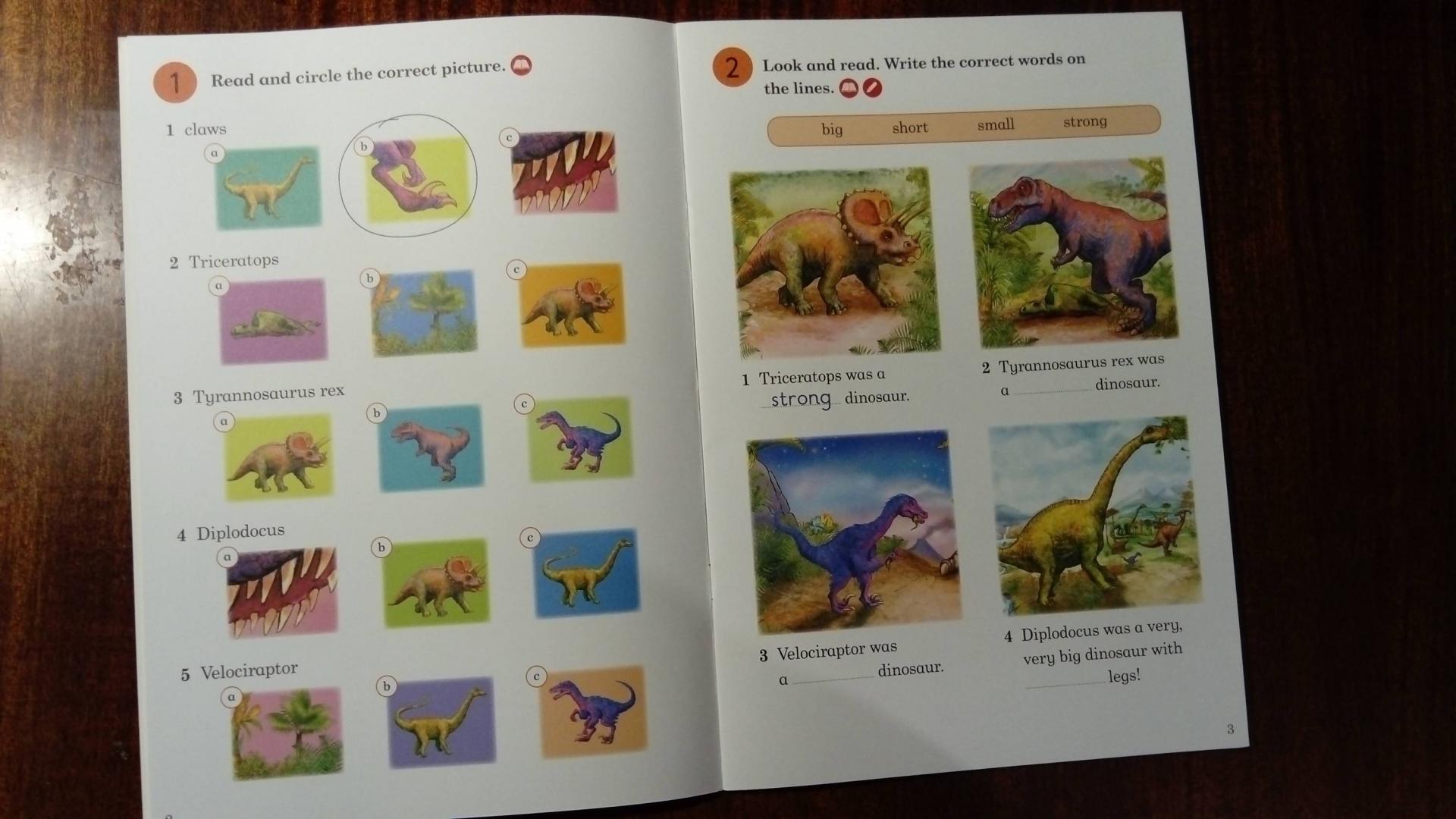 Иллюстрация 8 из 15 для Dinosaurs. Activity Book. Level 2 - Catrin Morris | Лабиринт - книги. Источник: Ольга Расмус