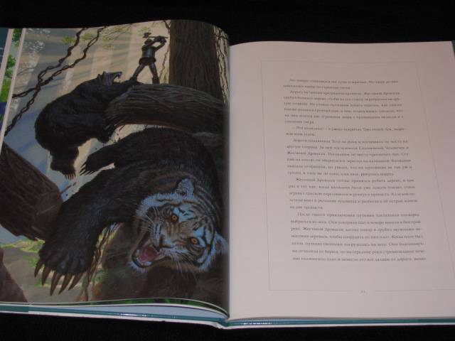 Иллюстрация 29 из 36 для Волшебник Страны Оз - Лаймен Баум | Лабиринт - книги. Источник: Nemertona