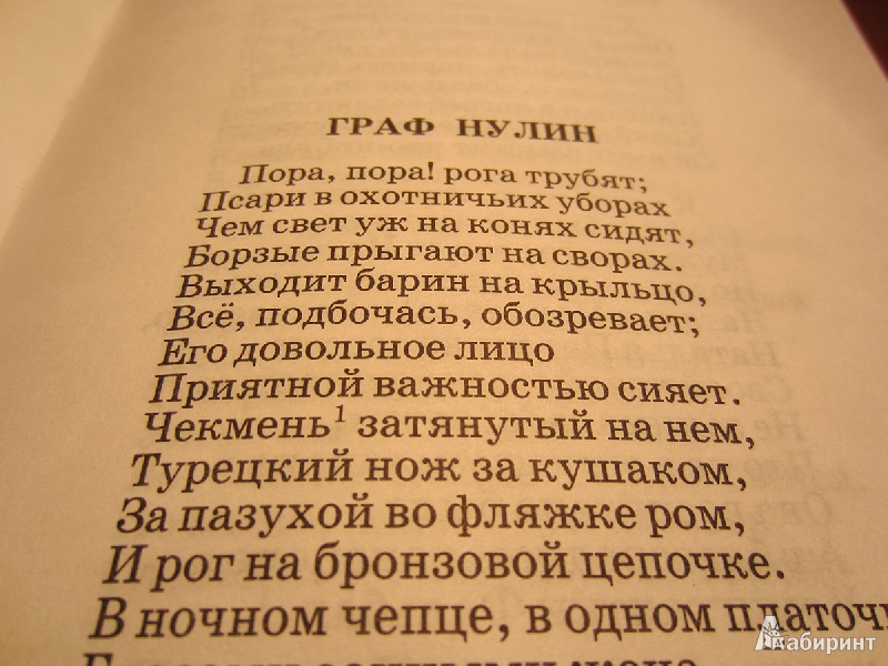 Иллюстрация 8 из 27 для Поэмы - Александр Пушкин | Лабиринт - книги. Источник: kamixaze