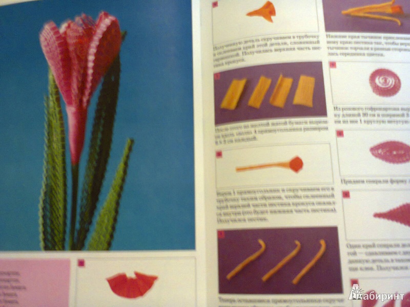 Иллюстрация 11 из 26 для Цветы в технике квиллинг - Клавдия Моргунова | Лабиринт - книги. Источник: G