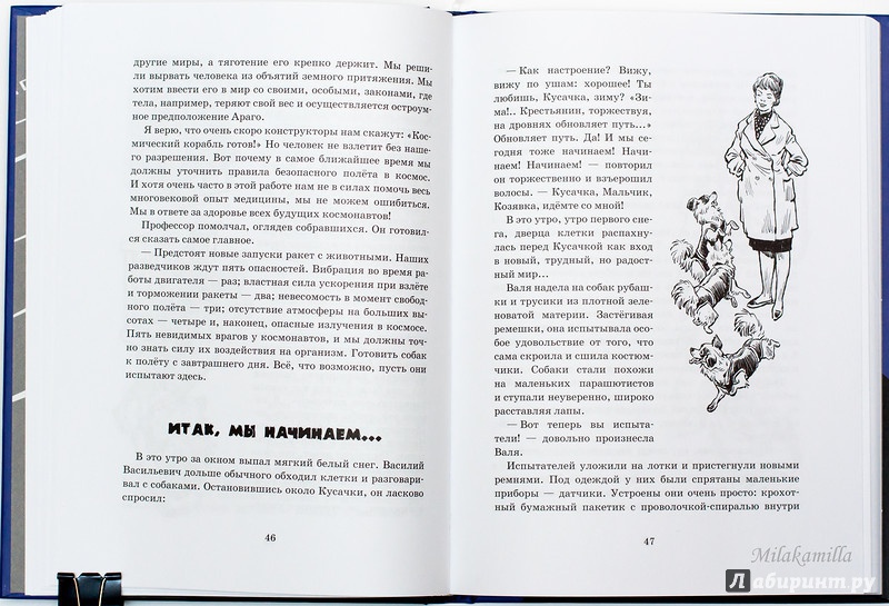 Иллюстрация 50 из 65 для Тяпа, Борька и ракета - Баранова, Велтистов | Лабиринт - книги. Источник: Букландия