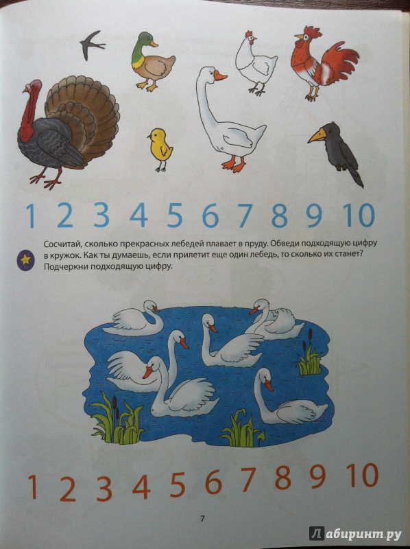 Иллюстрация 6 из 13 для Цифры. 4-5 лет - Виктория Мамаева | Лабиринт - книги. Источник: Абра-кадабра