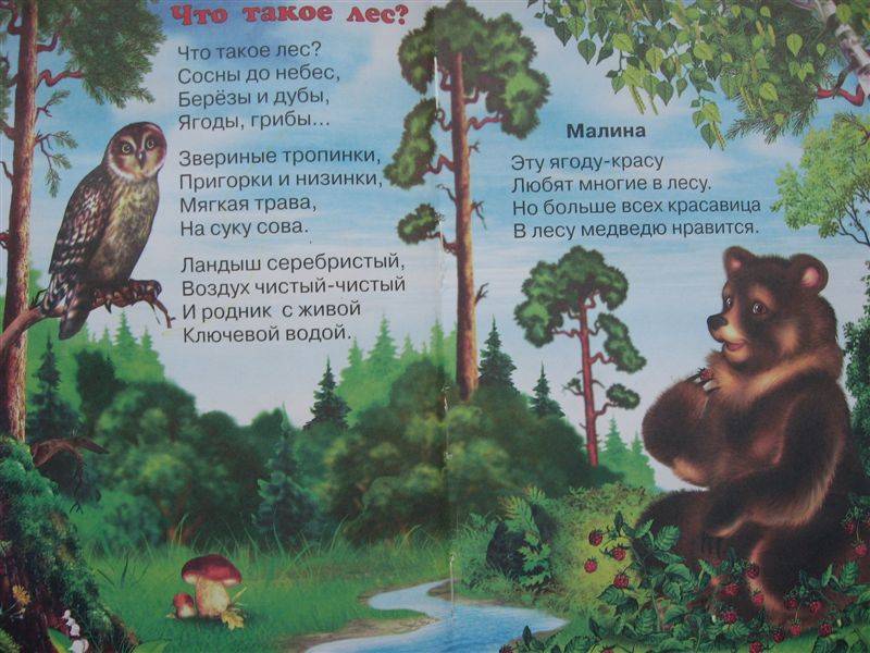 Иллюстрация 1 из 8 для Родная природа - Владимир Степанов | Лабиринт - книги. Источник: Юта