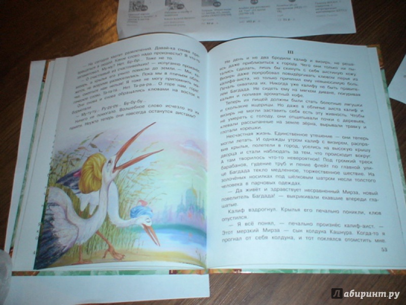Иллюстрация 46 из 71 для Сказки - Вильгельм Гауф | Лабиринт - книги. Источник: prema81