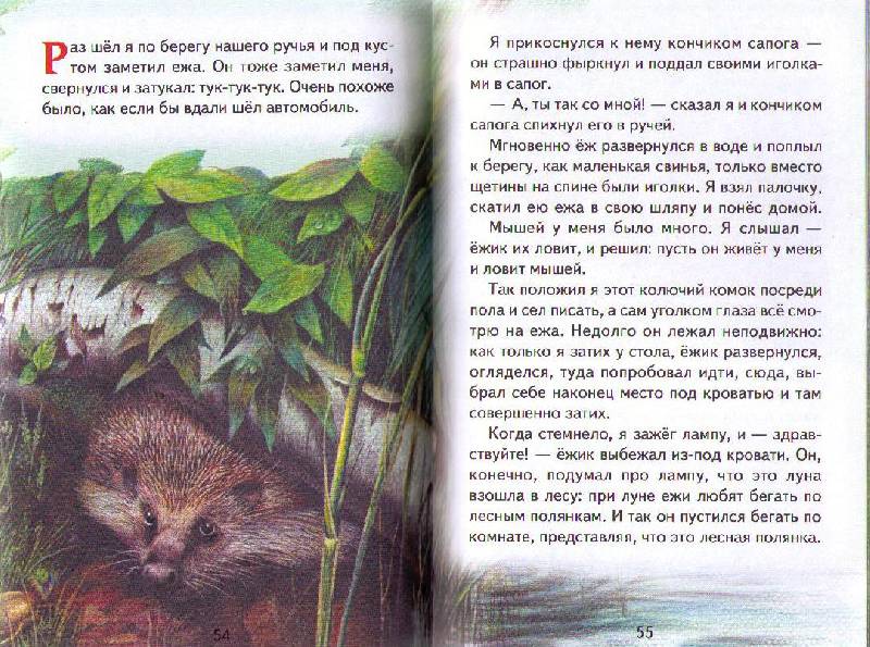 Иллюстрация 12 из 17 для Рассказы о животных - Михаил Пришвин | Лабиринт - книги. Источник: Ya_ha