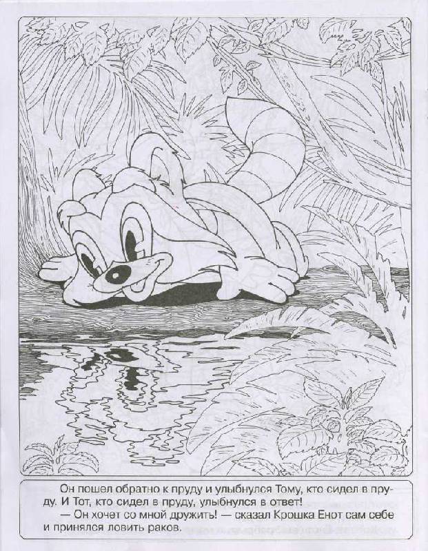 Иллюстрация 20 из 30 для Книжка-раскраска "Крошка Енот" | Лабиринт - книги. Источник: Орешек