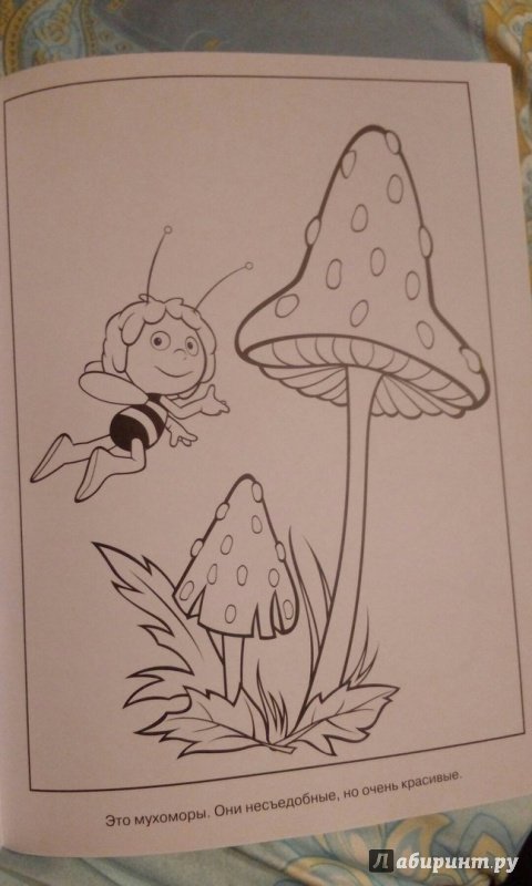 Иллюстрация 20 из 33 для Волшебная раскраска. Пчёлка Майя (№14219) | Лабиринт - книги. Источник: Салова Анастасия