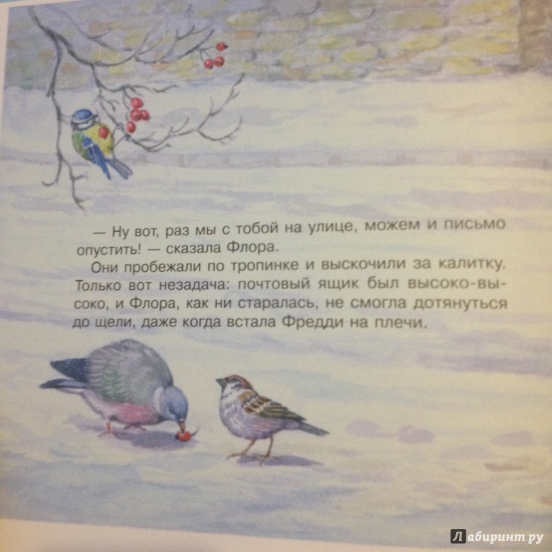 Иллюстрация 21 из 35 для Новогоднее письмо мишки Фредди - Одри Таррант | Лабиринт - книги. Источник: S  Oxana
