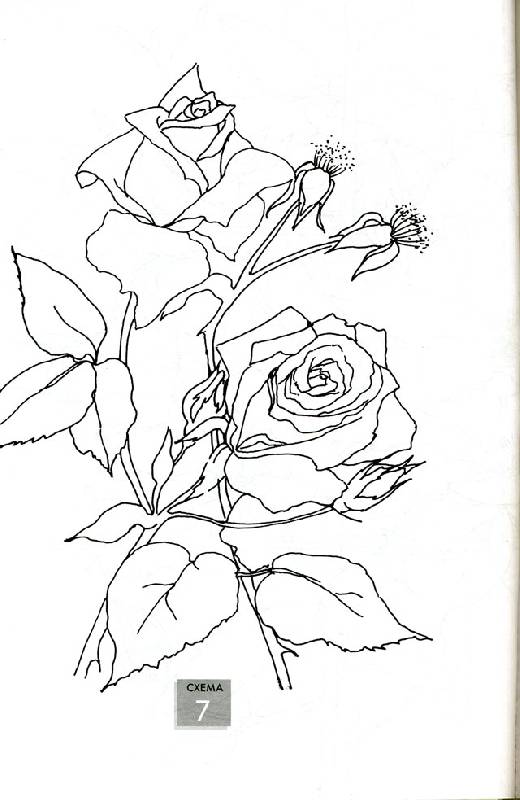 Иллюстрация 6 из 22 для Рисуем по схемам. Цветы. Акварель - Венди Тэйт | Лабиринт - книги. Источник: Иванна