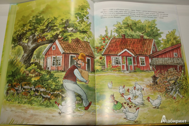 Иллюстрация 33 из 47 для Чужак в огороде - Свен Нурдквист | Лабиринт - книги. Источник: Павлинова  Ирина Евгеньевна