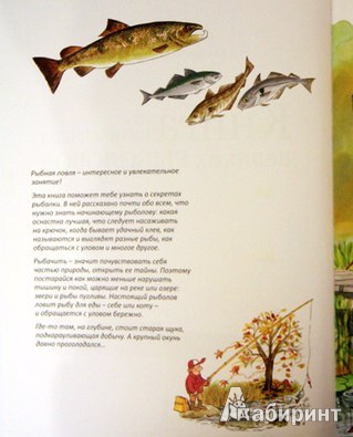 Иллюстрация 38 из 60 для Книга для начинающих великих рыболовов - Нурдквист, Вернер-Карлссон | Лабиринт - книги. Источник: Юта