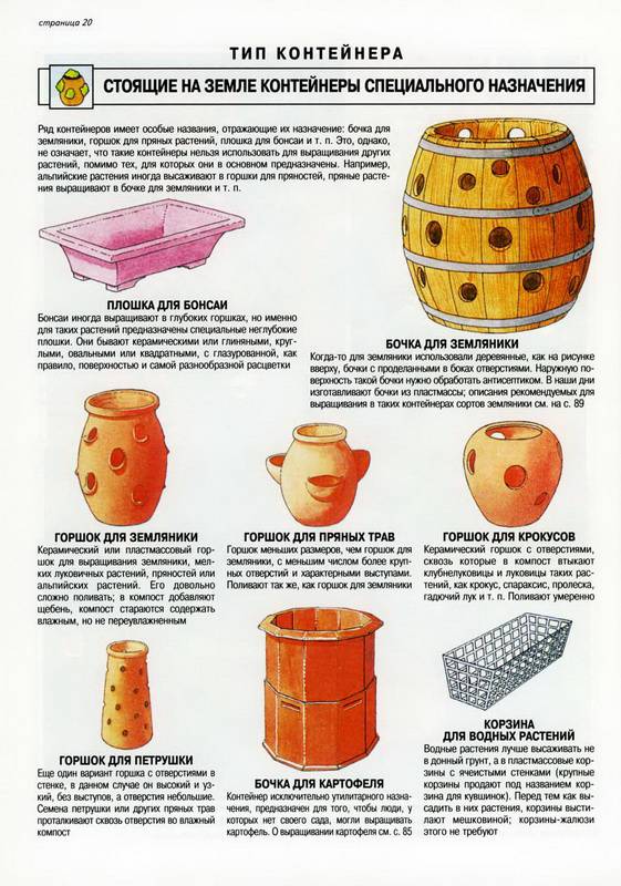 Иллюстрация 28 из 33 для Все о контейнерных растениях - Дэвид Хессайон | Лабиринт - книги. Источник: Ялина