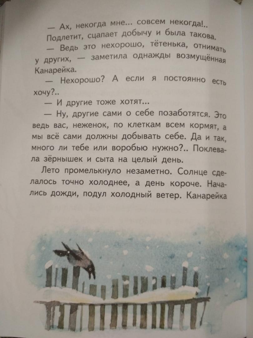 Иллюстрация 52 из 62 для Медведко - Дмитрий Мамин-Сибиряк | Лабиринт - книги. Источник: Чебыкина  Марина