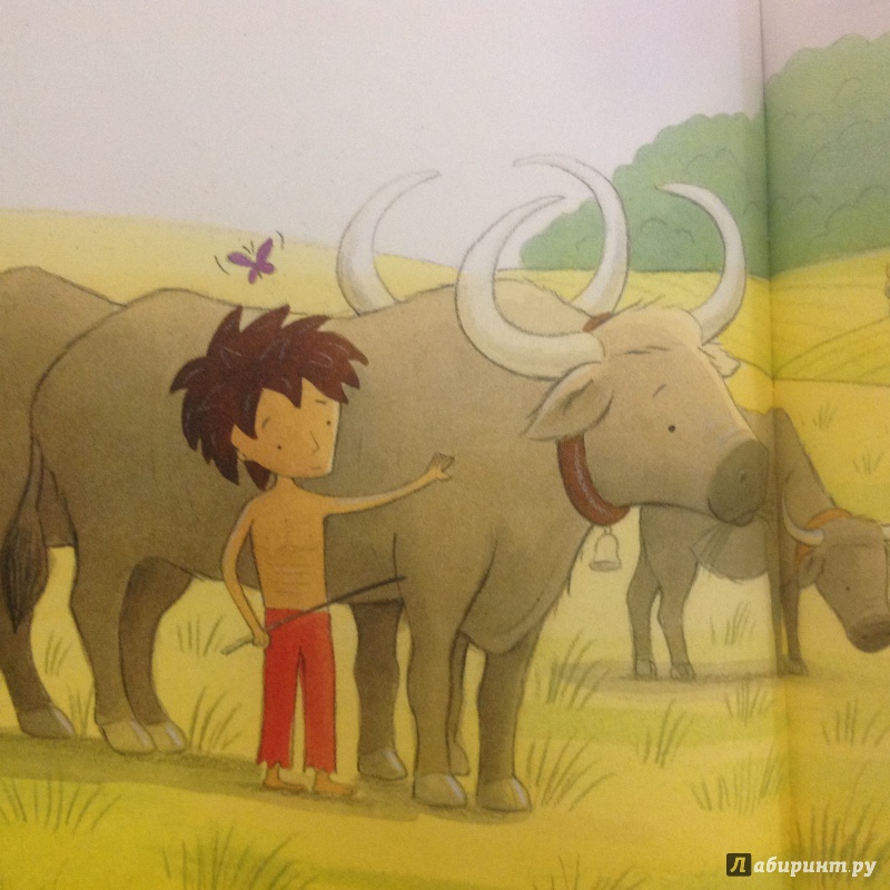 Иллюстрация 11 из 21 для The Jungle Book - Jillian Powell | Лабиринт - книги. Источник: Sage Tea