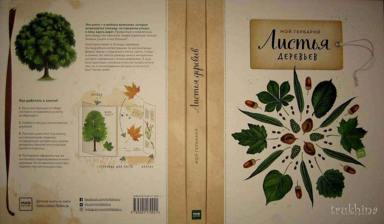 Иллюстрация 83 из 126 для Мой гербарий. Листья деревьев - Анна Васильева | Лабиринт - книги. Источник: Трухина Ирина