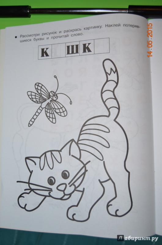 Иллюстрация 6 из 9 для Быстрое обучение чтению! Домашние животные | Лабиринт - книги. Источник: Yaroslav088