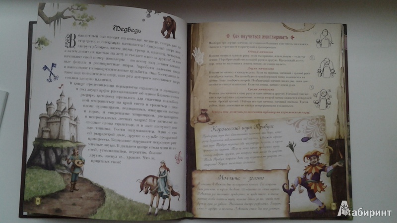 Иллюстрация 18 из 30 для Рыцари - Поль Бопэр | Лабиринт - книги. Источник: gertrudamarya