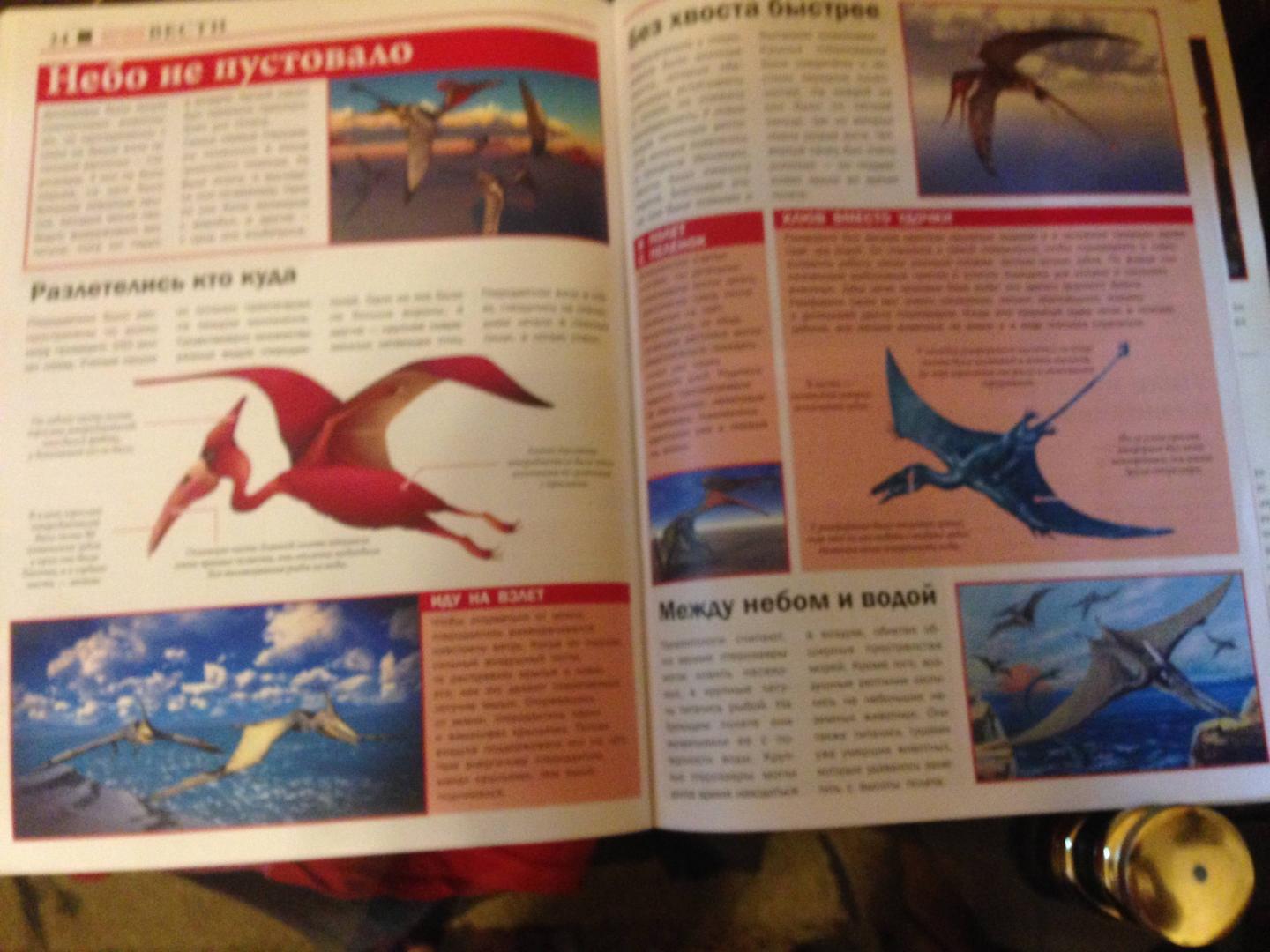 Иллюстрация 11 из 13 для Тайны динозавров | Лабиринт - книги. Источник: Лабиринт