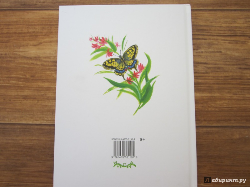 Иллюстрация 33 из 78 для Охота за бабочкой - Михаил Пришвин | Лабиринт - книги. Источник: ЮлияО