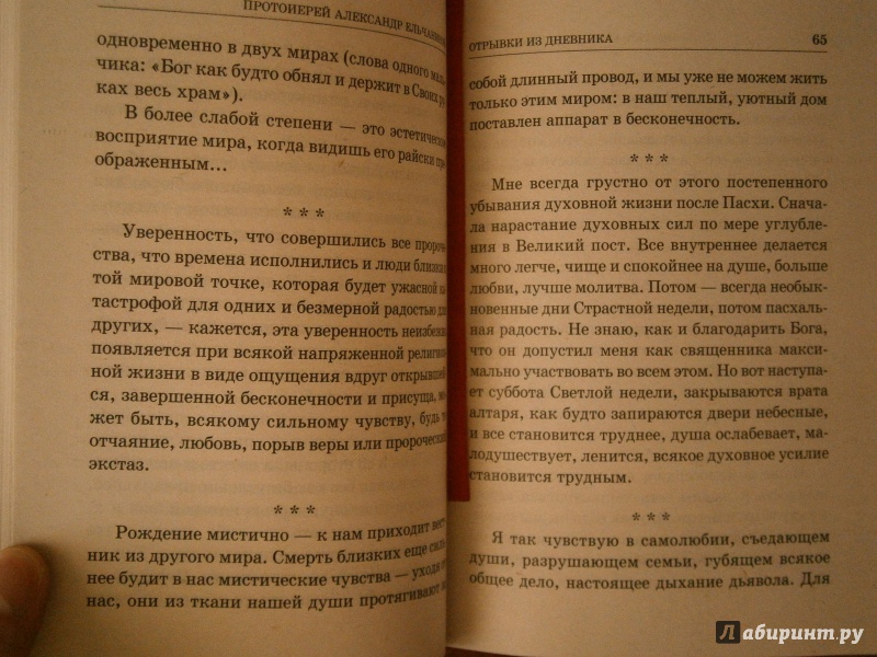 Иллюстрация 24 из 28 для Православие для многих. Отрывки из дневника и другие записи - Александр Протоиерей | Лабиринт - книги. Источник: D8  _