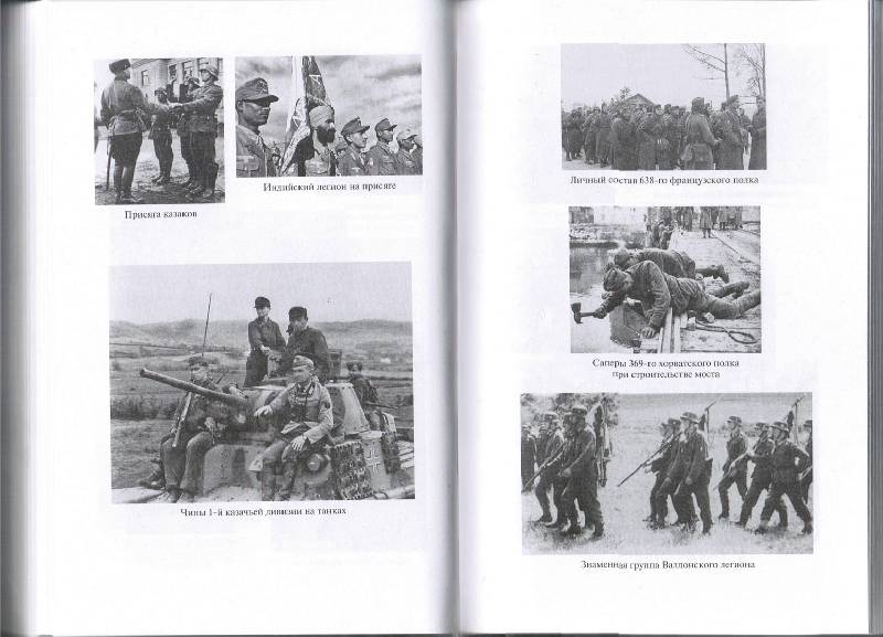Иллюстрация 5 из 9 для Иностранные формирования Третьего рейха - Дробязко, Романько, Семенов | Лабиринт - книги. Источник: tat_skr