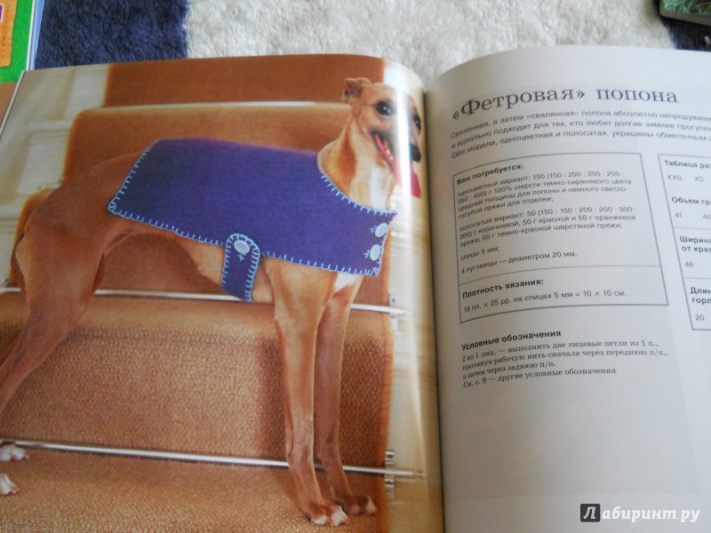 Иллюстрация 14 из 17 для Пальто, кардиганы свитера. Стильная одежда для собак - Анна Тильман | Лабиринт - книги. Источник: kosolapiki
