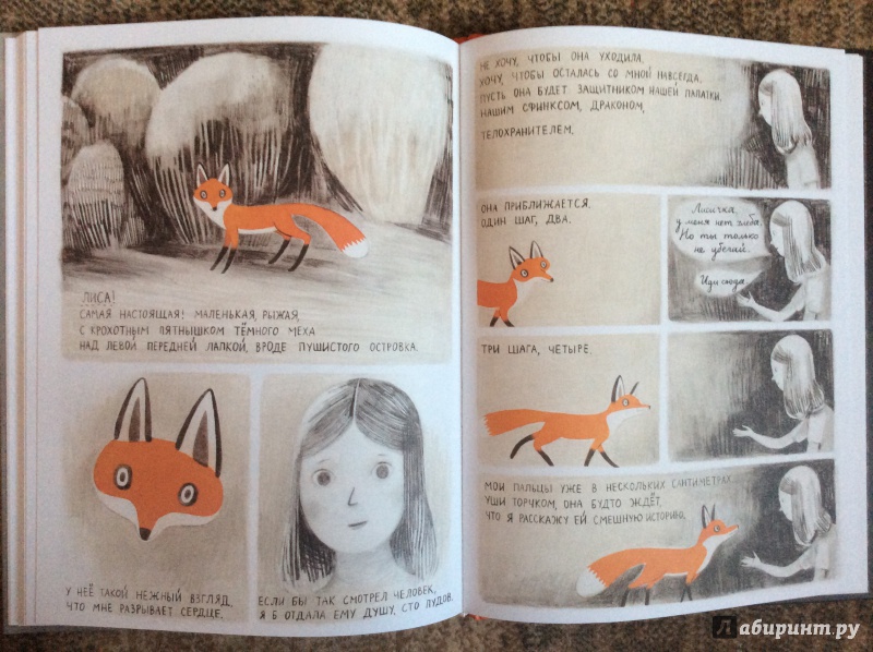 Иллюстрация 13 из 50 для Джейн, лиса и я - Фанни Бритт | Лабиринт - книги. Источник: Умная Дуня